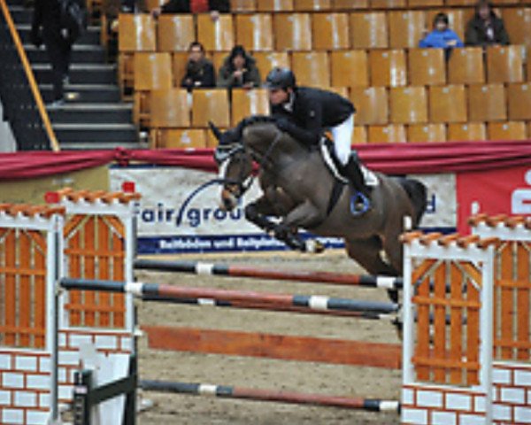 jumper Pikeur Caressini (Holsteiner, 2001, from Caretino)