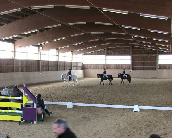 Reitturnier Marktredwitz 2025