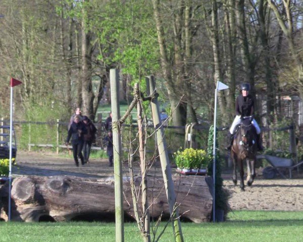 Reitturnier Olfen 2025