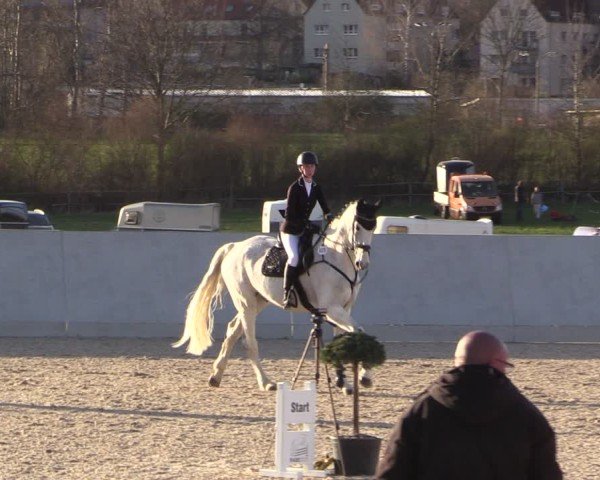 Reitturnier Zwickauer Winter Edition 2025
