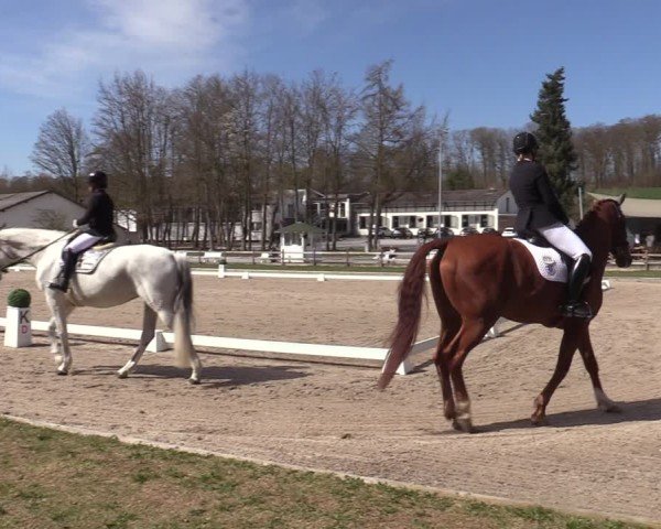 Reitturnier Balve-Wocklum 2025