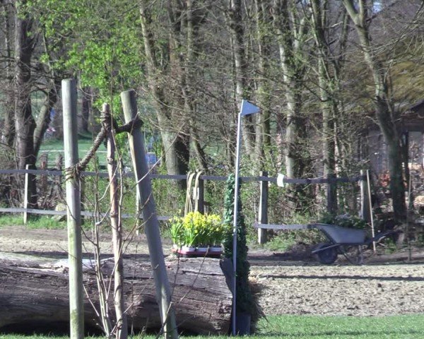 Reitturnier Olfen 2025