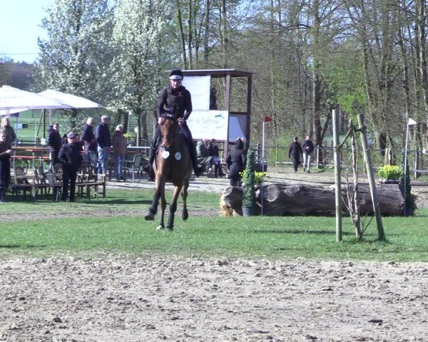 Reitturnier Olfen 2025