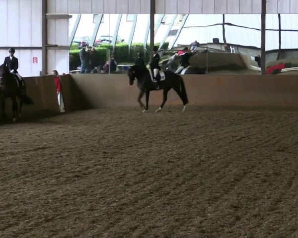 Winterchampionat Essen Stadtwald 2013