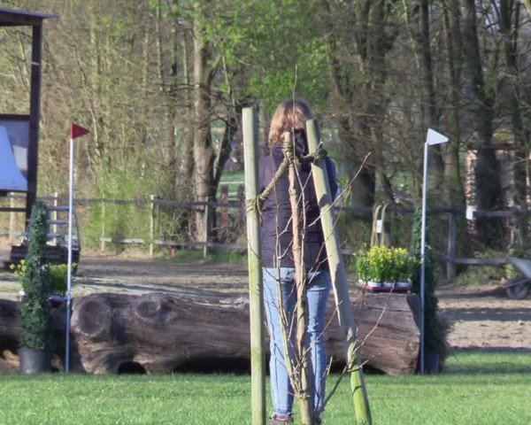 Reitturnier Olfen 2025