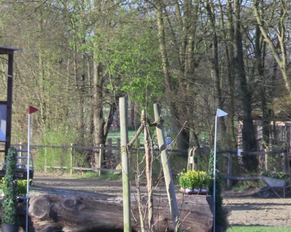 Reitturnier Olfen 2025
