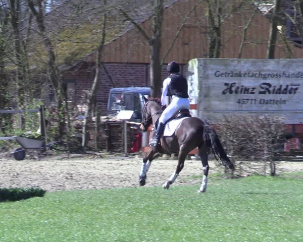 Reitturnier Olfen 2025