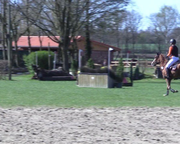 Reitturnier Olfen 2025