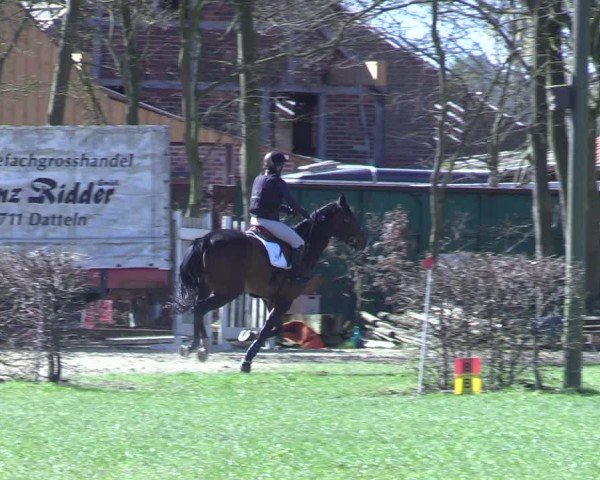 Reitturnier Olfen 2025