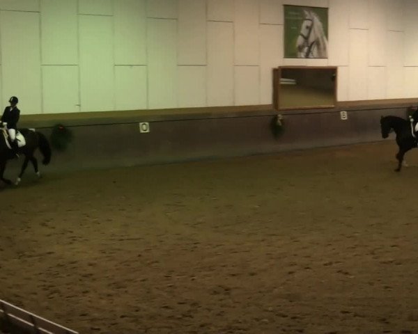 Winterchampionat Essen Stadtwald 2013