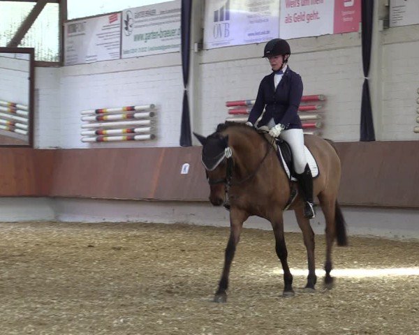 Reitturnier Bottrop 2025