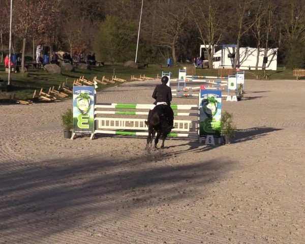 Reitturnier Pietzpuhl 2025