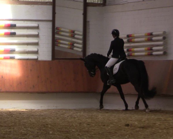 Reitturnier Bottrop 2025