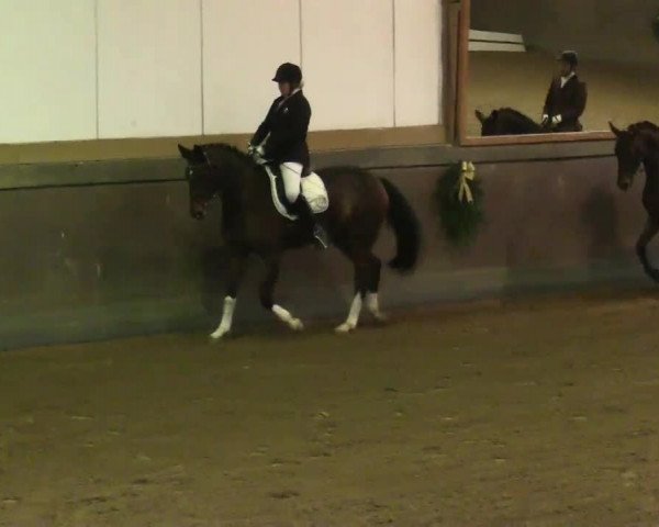 Winterchampionat Essen Stadtwald 2013