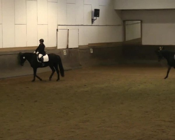 Winterchampionat Essen Stadtwald 2013