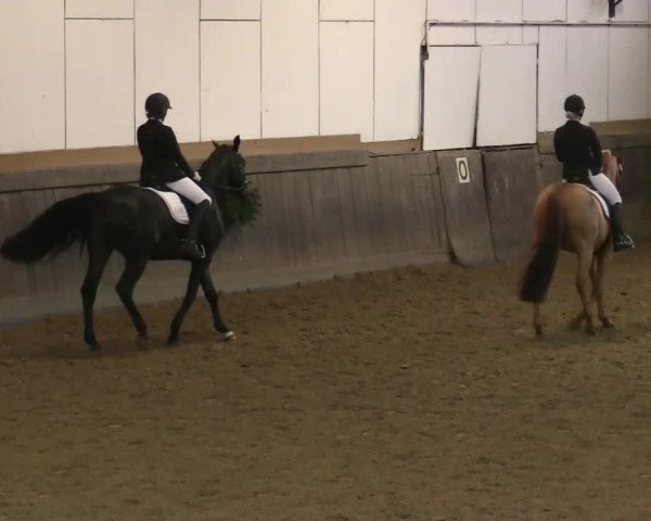 Winterchampionat Essen Stadtwald 2013