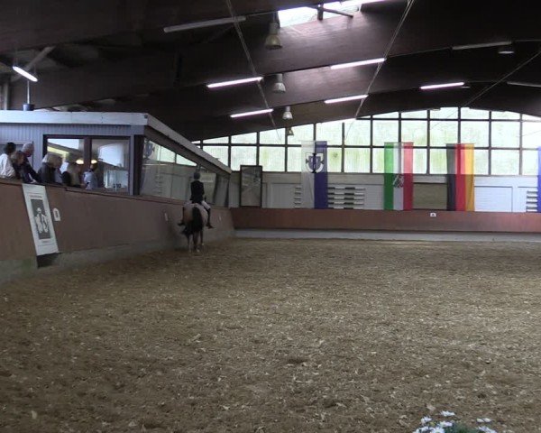 Reitturnier Bottrop 2025