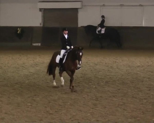 Winterchampionat Essen Stadtwald 2013