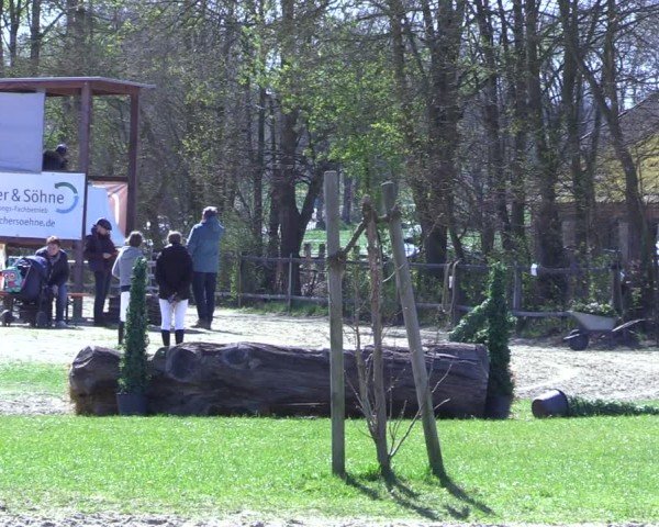 Reitturnier Olfen 2025