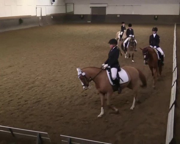 Winterchampionat Essen Stadtwald 2013