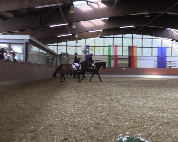 Reitturnier Bottrop 2025