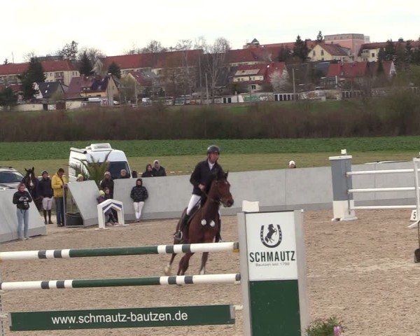 Reitturnier Zwickauer Winter Edition 2025