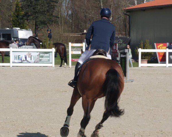 Reitturnier Memmingen 2025