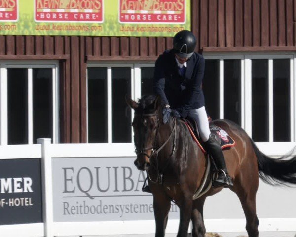 Reitturnier Memmingen 2025