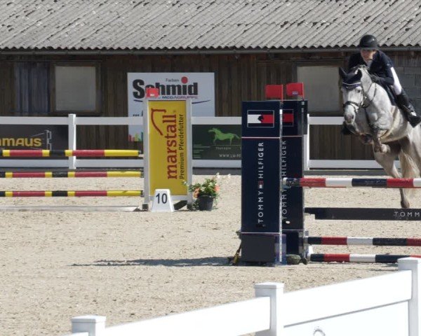 Reitturnier Memmingen 2025