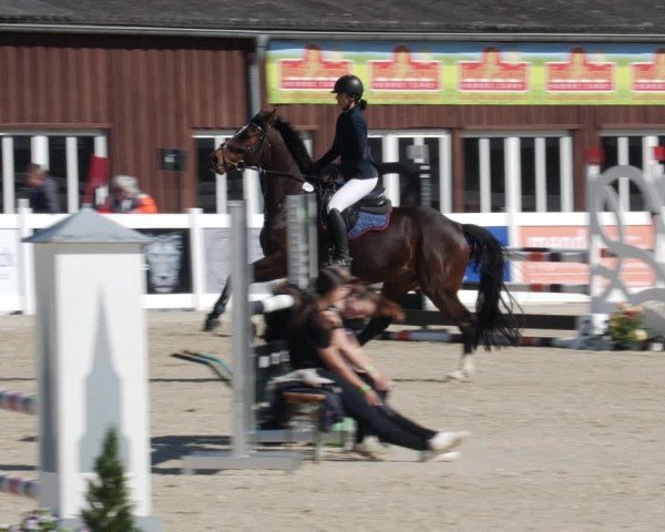 Reitturnier Memmingen 2025