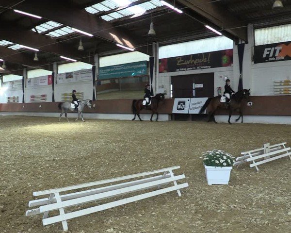 Reitturnier Bottrop 2025