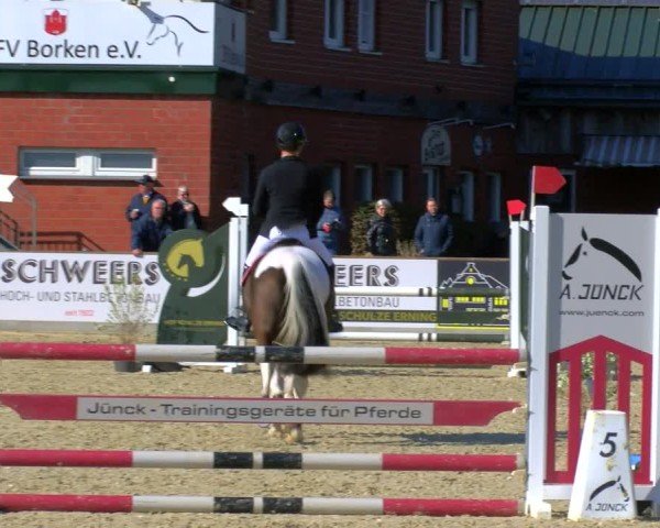 Reitturnier Borken 2025