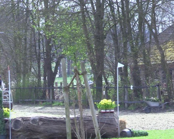 Reitturnier Olfen 2025