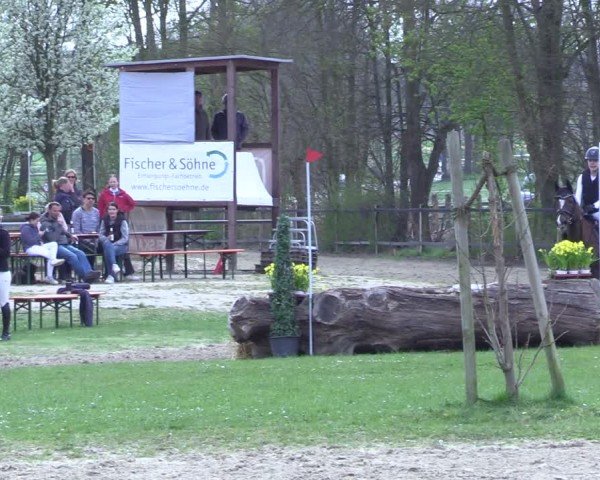 Reitturnier Olfen 2025