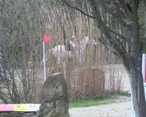 Reitturnier Olfen 2025