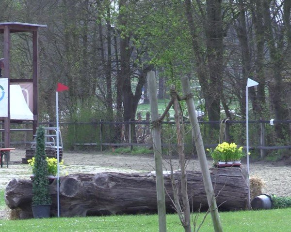 Reitturnier Olfen 2025