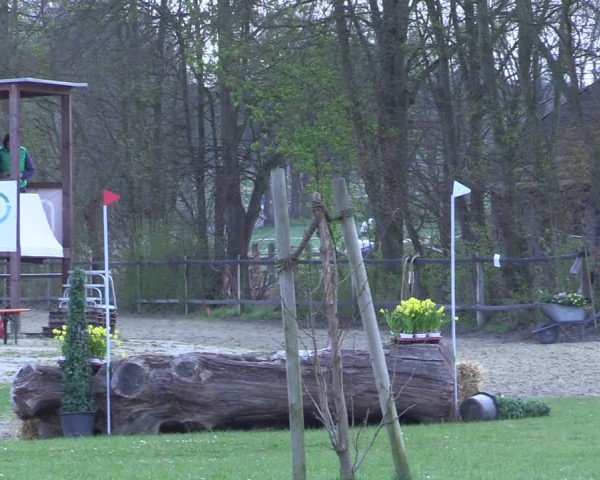 Reitturnier Olfen 2025