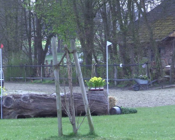 Reitturnier Olfen 2025