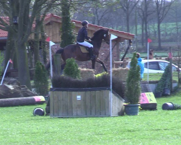 Reitturnier Olfen 2025