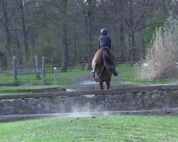 Reitturnier Olfen 2025