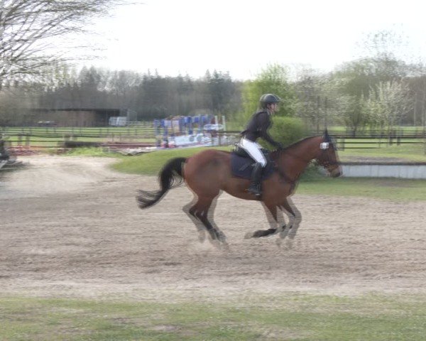 Reitturnier Olfen 2025