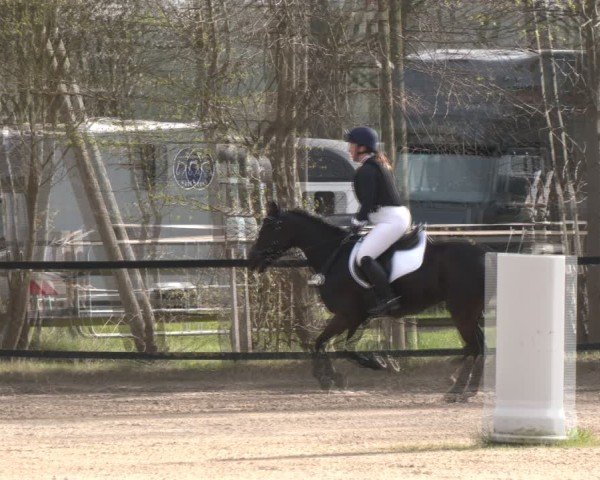 Reitturnier Olfen 2025