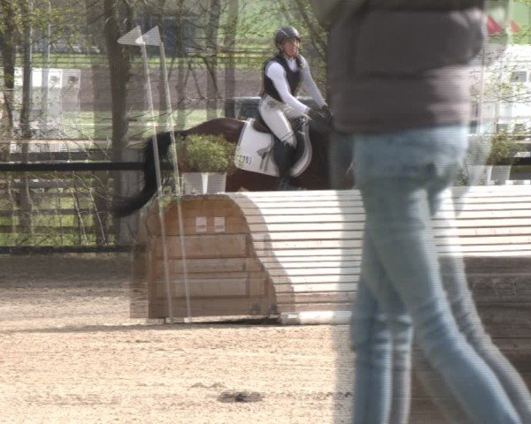 Reitturnier Olfen 2025