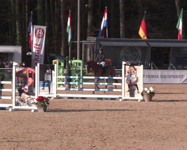 Reitturnier Ranshofen - Braunau am Inn 2025