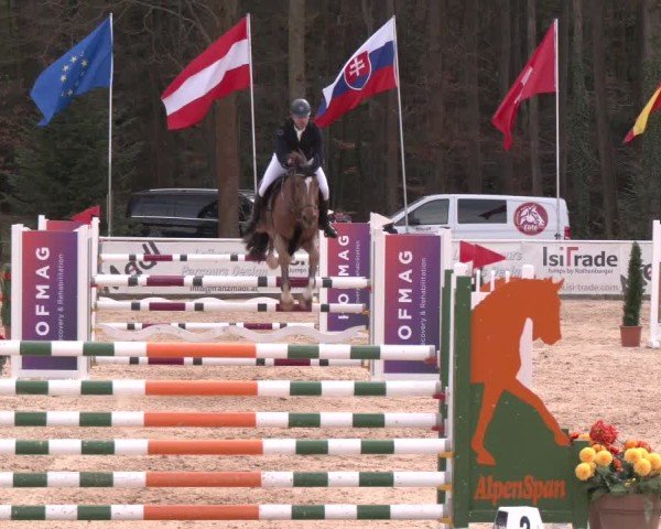 Reitturnier Ranshofen - Braunau am Inn 2025
