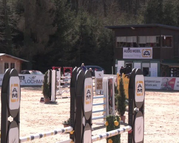 Reitturnier Ranshofen - Braunau am Inn 2025