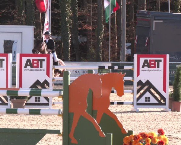 Reitturnier Ranshofen - Braunau am Inn 2025