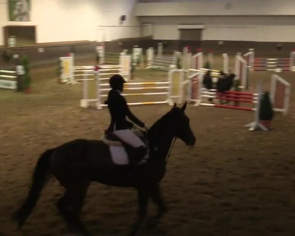 Winterchampionat Essen Stadtwald 2013