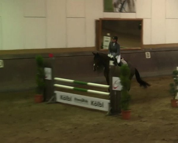 Winterchampionat Essen Stadtwald 2013