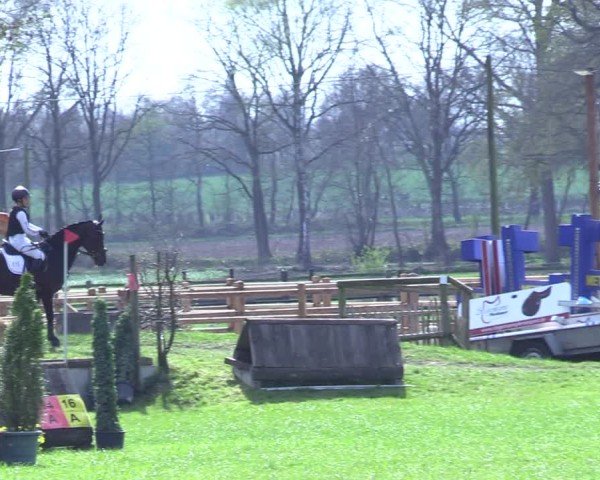 Reitturnier Olfen 2025
